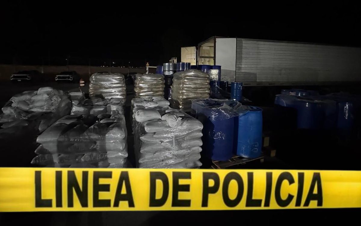 Aseguran más de 13 toneladas de precursores químicos para drogas en Durango