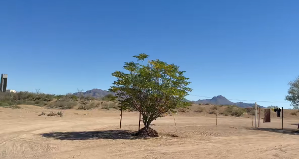 Conocimos a una familia del ejido San Miguel gente muy amable !