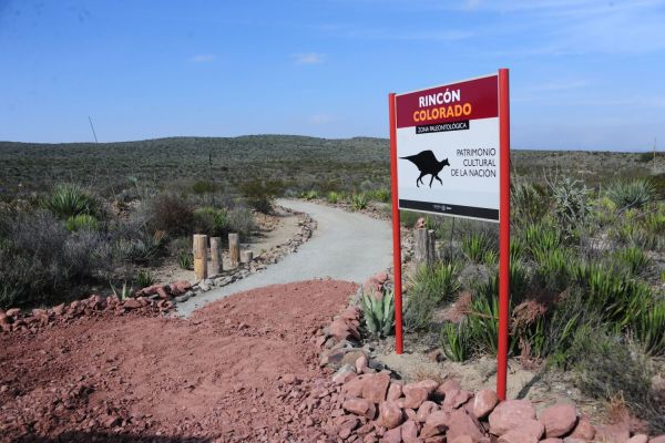 🦖 Descubren nuevo dinosaurio carnívoro en Coahuila y refuerzan su importancia paleontológica