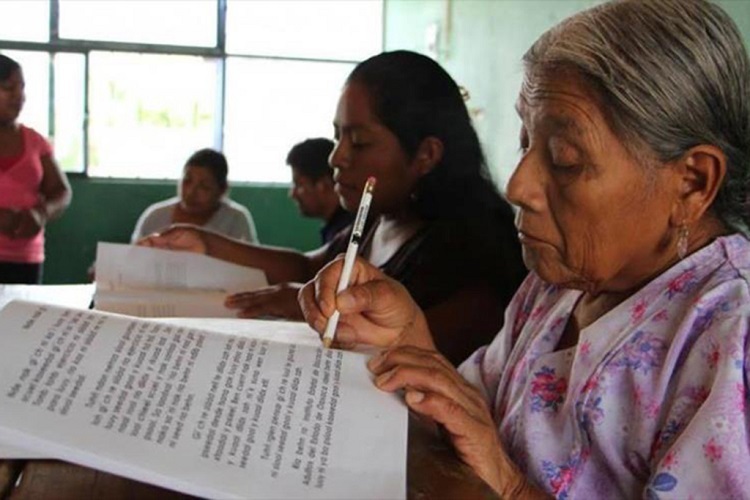 México a un paso de la “Bandera Blanca”: El reto de erradicar el analfabetismo en 2026