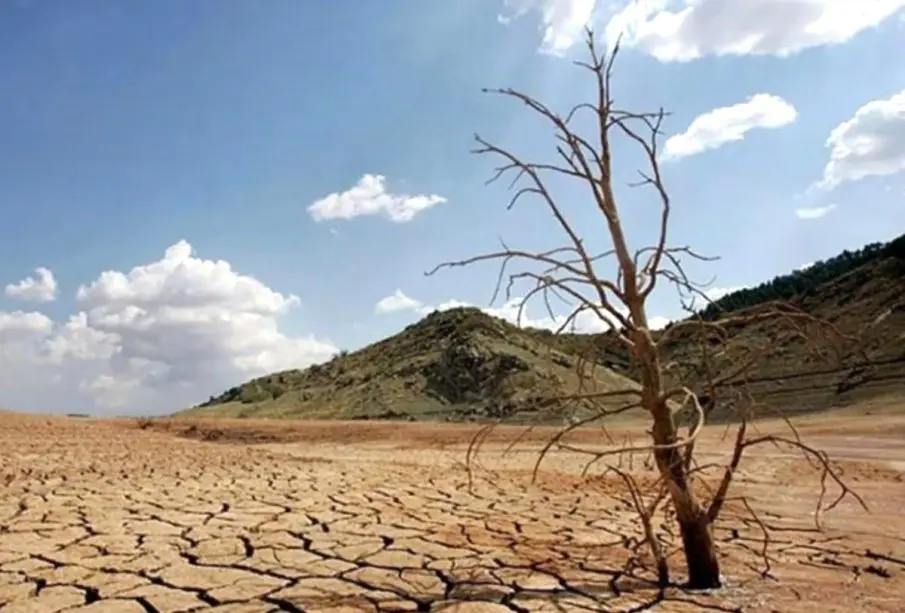 Coahuila bajo estrés hídrico: 2025 cierra con el 71.8% del territorio en sequía