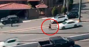 Joven de 25 años atropellada en Paseo de los Leones: fue auxiliada por policía tras reporte de desorientación