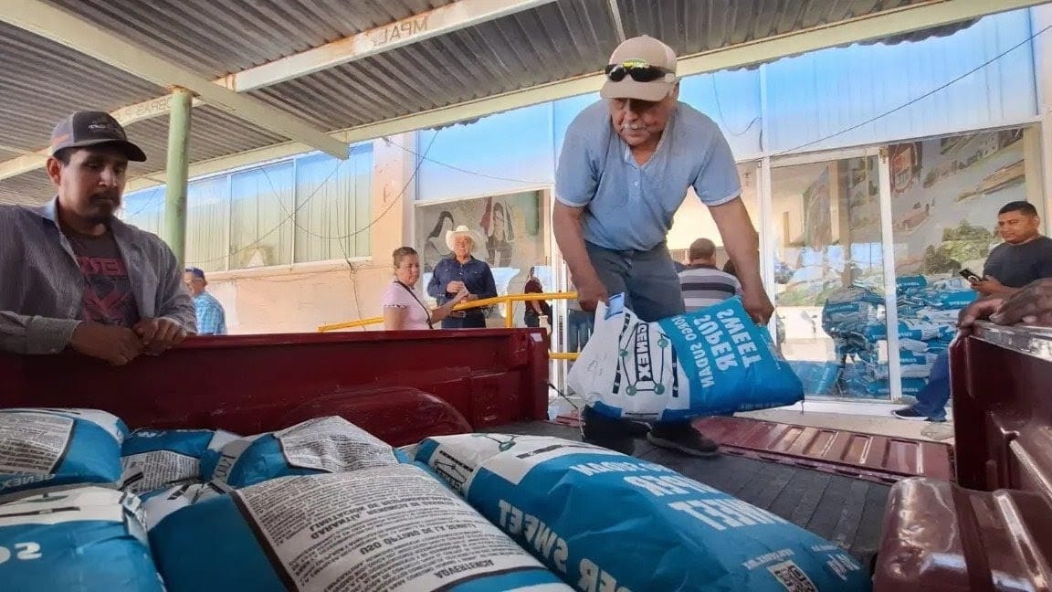 Entregan semilla de sorgo forrajero a productores del norte de Coahuila