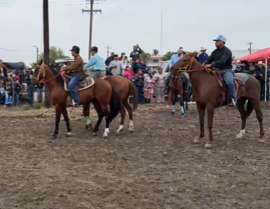 Carrera de resistencia reúne a jinetes en la Asociación Ganadera de Múzquiz