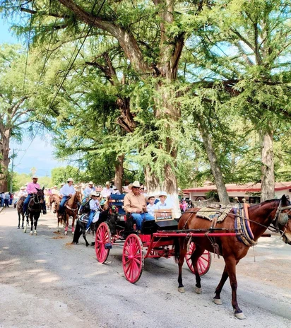 ¡Todo listo para la gran Cabalgata Múzquiz 2026!