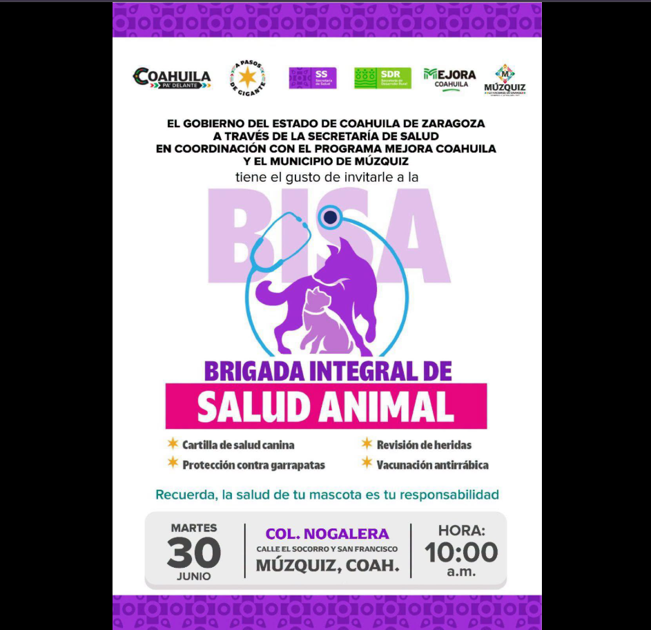 Brigada Integral de Salud Animal: Protege a Quienes Siempre Están Contigo